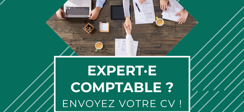 Expert(e)-comptable diplômé(e) (H/F)
