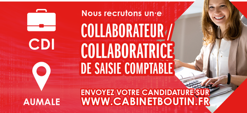 collaborateur de saisie comptable