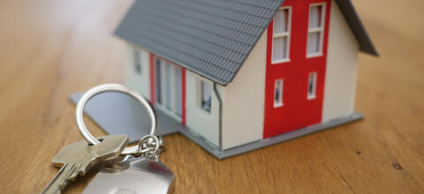 immobilier investissement conseils